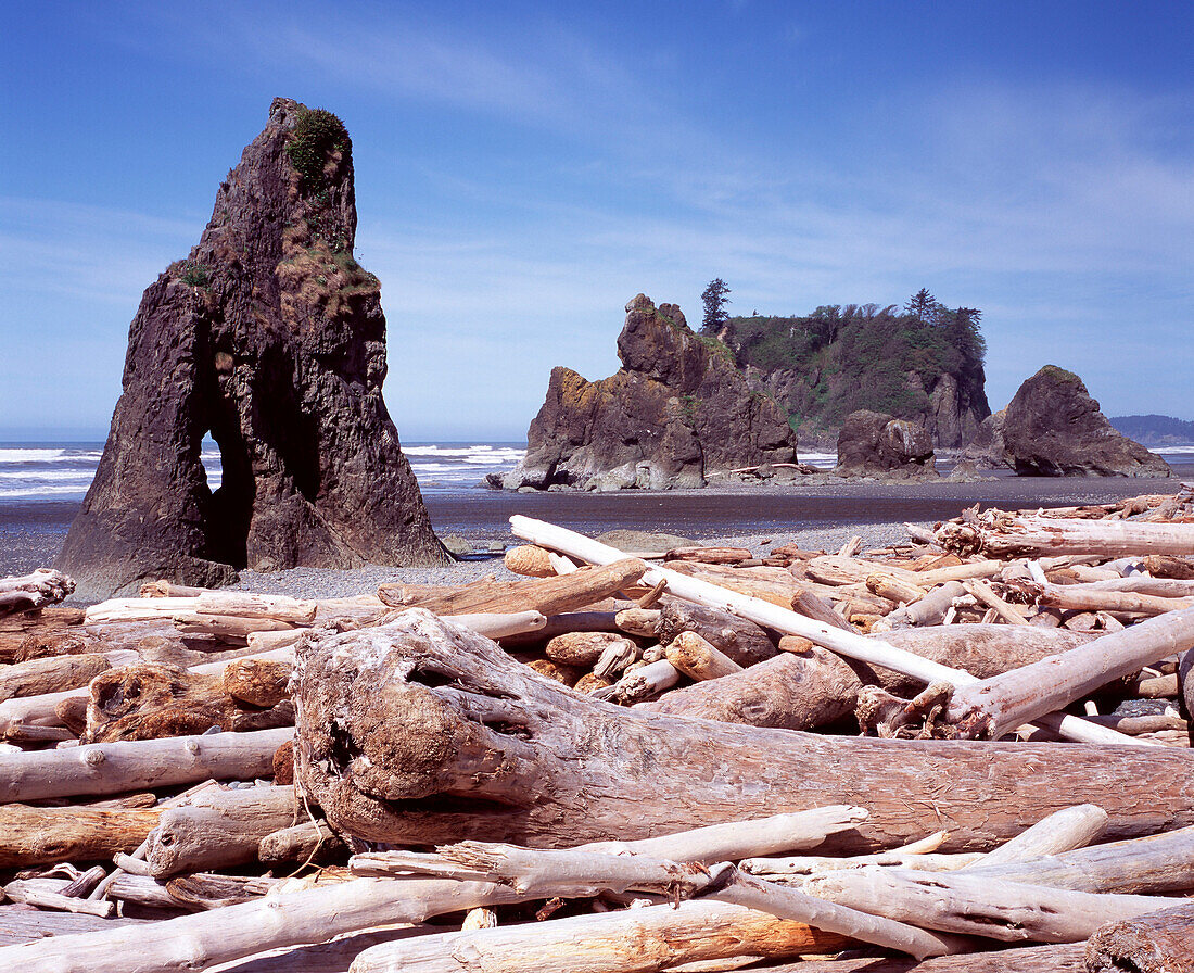 Piles of Driftwood and Rock Formations on Beach, Washington, USA