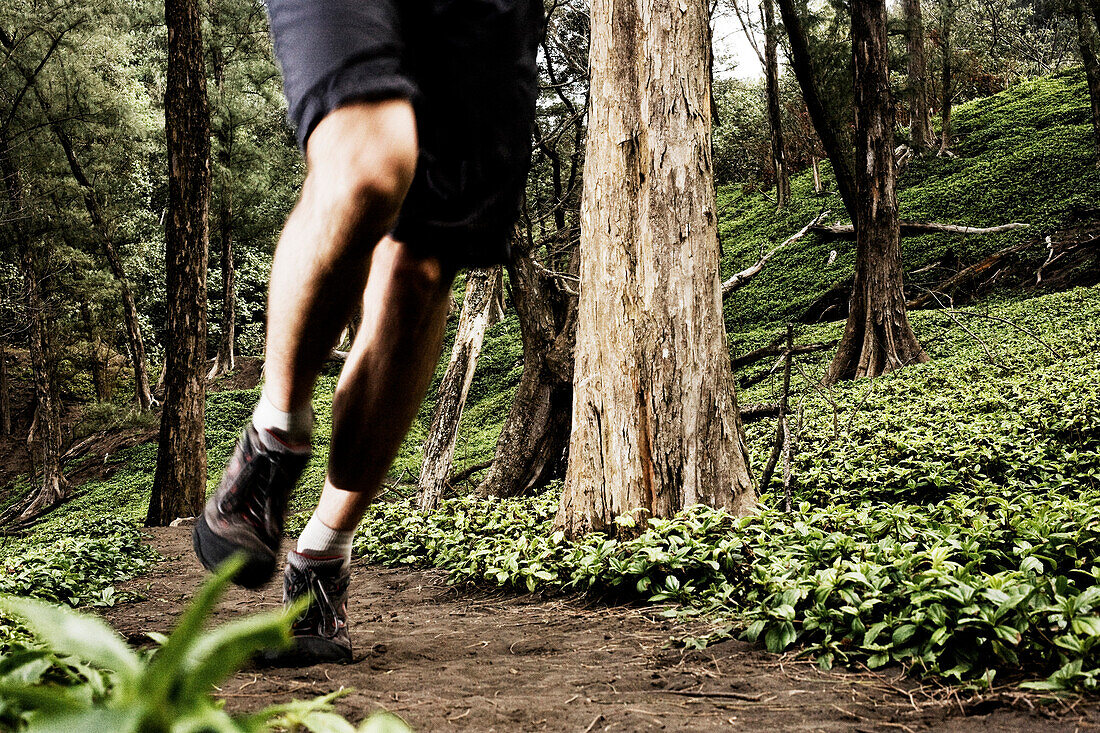 Man Running on Forest Path, Hawaii, USA