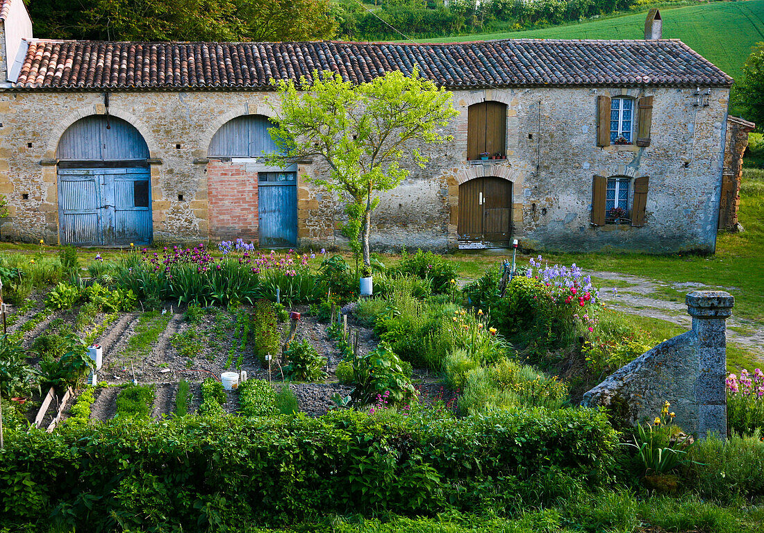 Rustic Farmhouse With Vegetable Garden, Summer, Fanjeaux, France