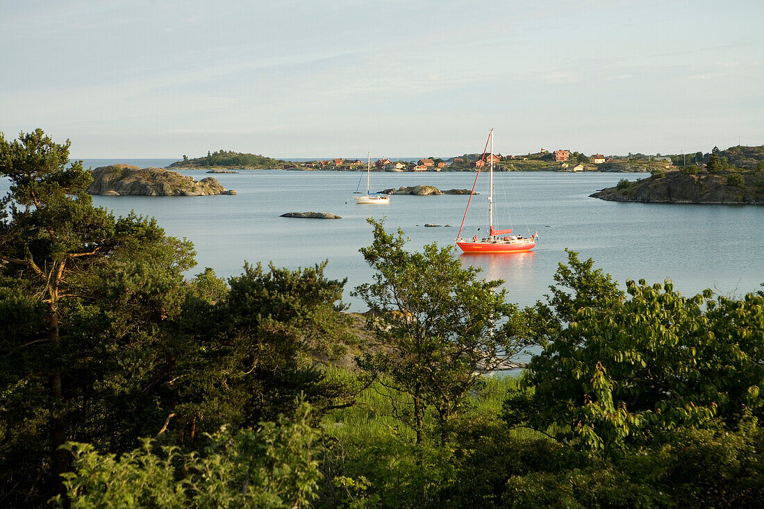 Sailboats in Bay, Sverige, Sweden