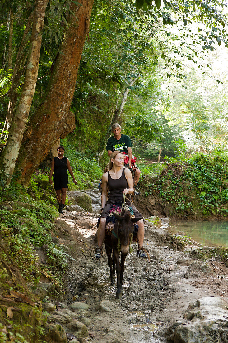Touristen reiten zum Wasserfall Cascada El Limon, Las Terrenas, Halbinsel Samana, Dominikanische Republik
