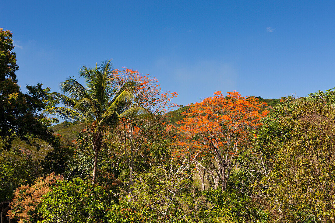 Hills in the Outback, Punta Rucia, Dominican Republic