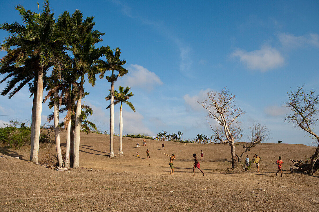 Kinder spielen den kubanischen Volkssport Baseball auf einem Hügel mit Palmen, Pilon, Provinz Granma, Kuba, Karibik