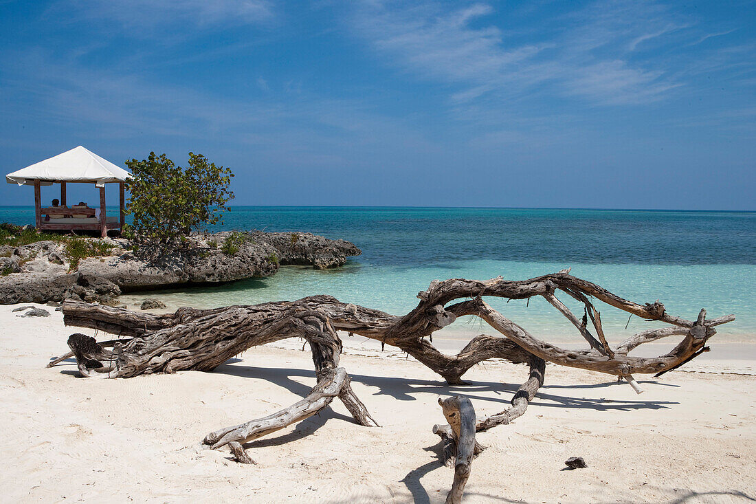 Driftwood on the beach and beach pavillion,  Playa Esmeralda, Guardalavaca, Holguin, Cuba