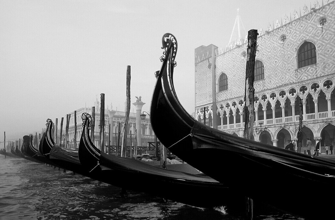 Gondolas in front of the Doges Palace, Venice, Italy