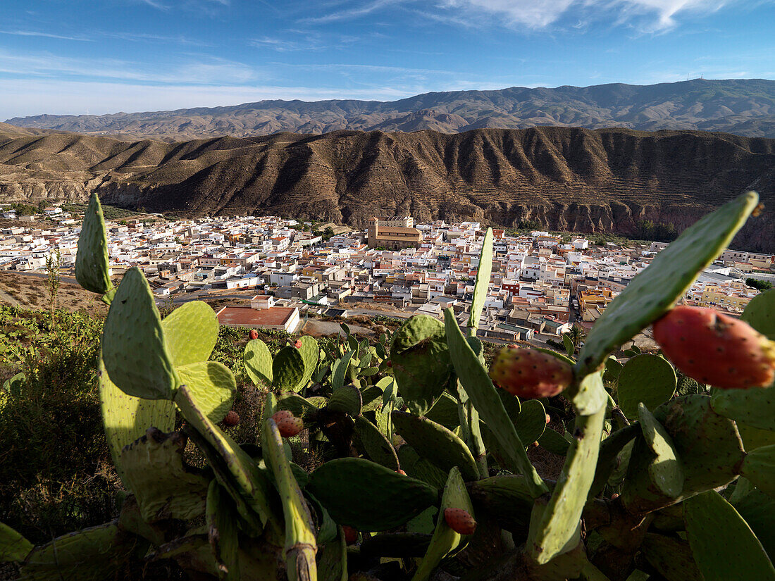 Blick auf Tabernas, Sierra Alhamilla, Andalusien, Spanien