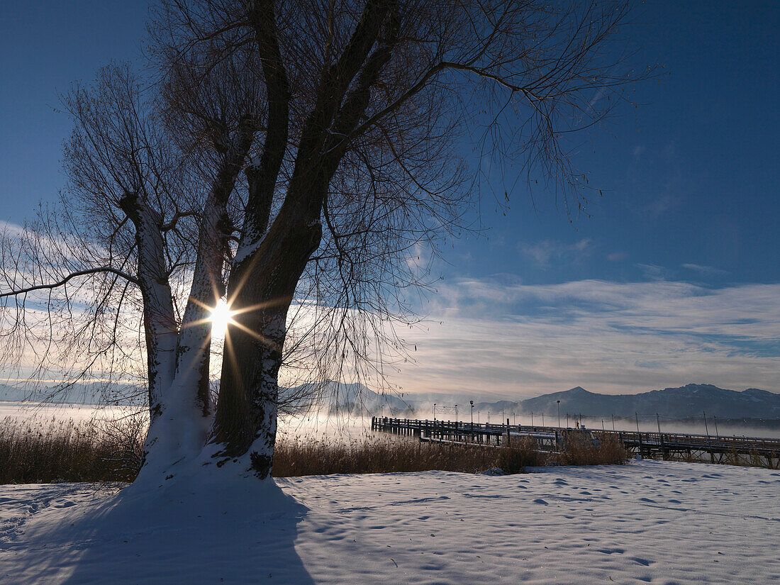 Winterlandschaft am Chiemsee, Gstadt am Chiemsee, Chiemgau, Bayern, Deutschland