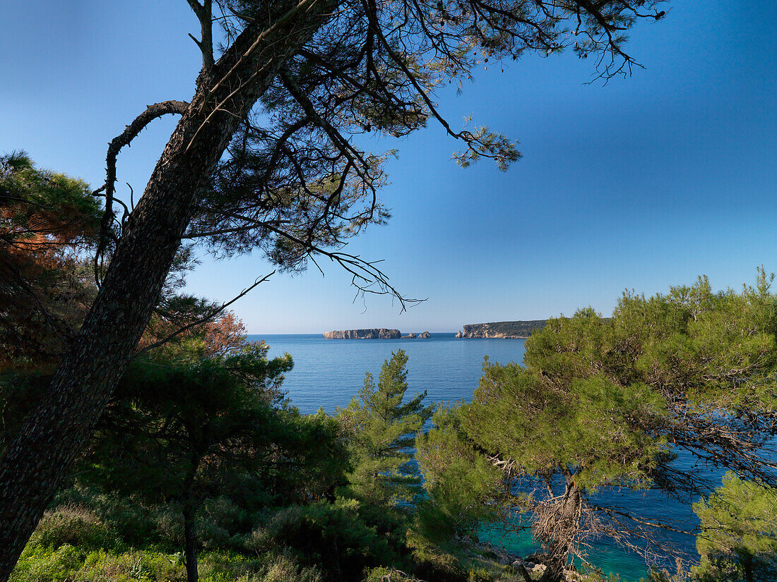 Blick auf die Insel Sfaktira, Bucht von Navarino, Pylos, Peloponnes, Griechenland