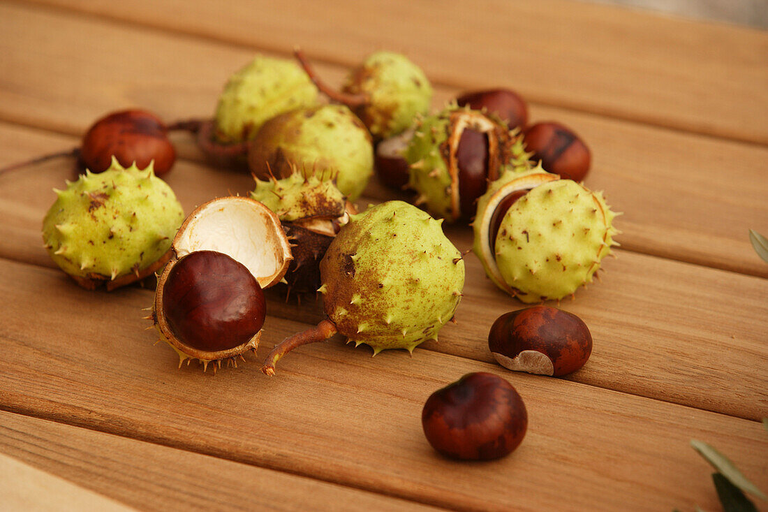 Rosskastanien auf einem Tisch, Herbst