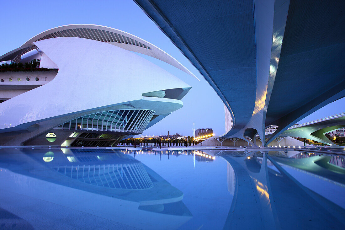 Palau de les Arts Reina Sofia, Architekt Santiago Calatrava, Av Autopista del Saler, Pont de Pont de Montolivet, Valencia, Spanien