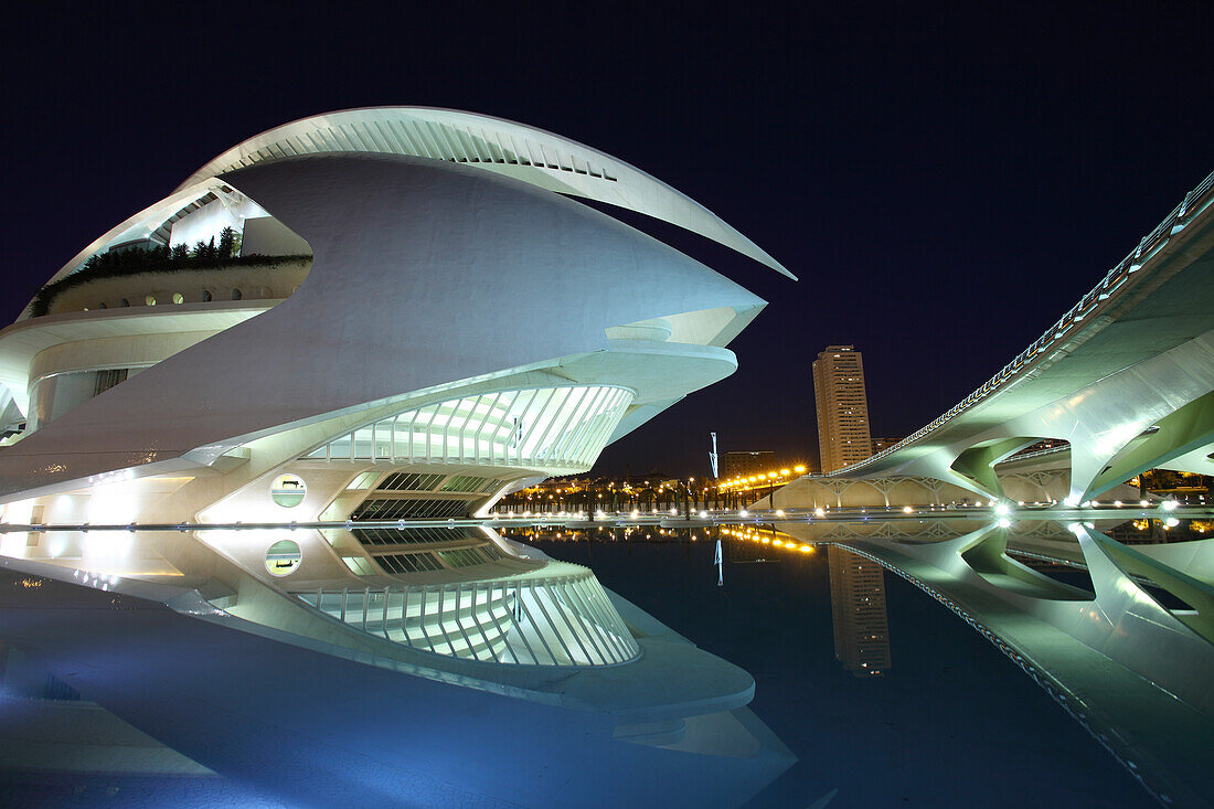 Palau de les Arts Reina Sofía, Architect Santiago Calatrava, Av Autopista del Saler, Pont de Pont de Montolivet, Valencia, Spain