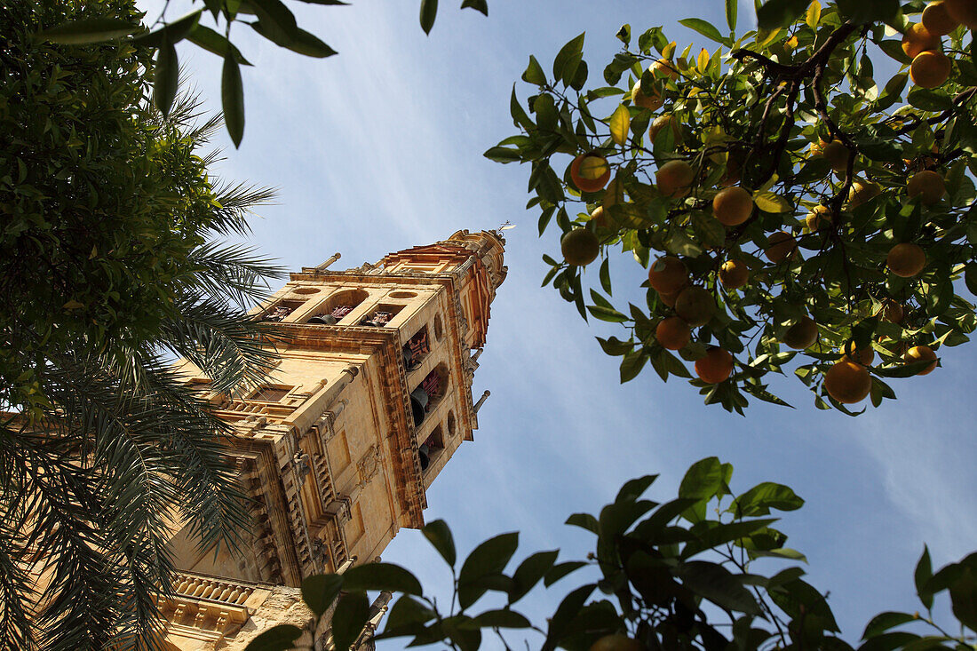 Mezquita von Cordoba, Cordoba, Andalusien, Spanien