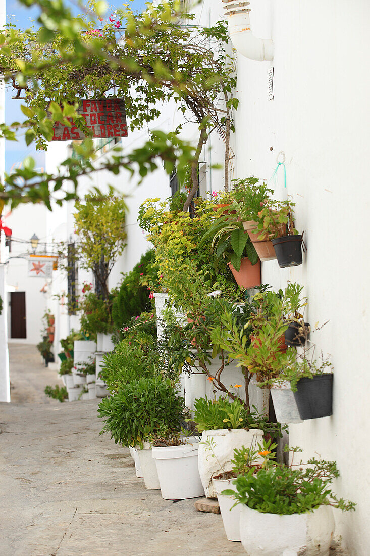 Small alley near Plaza de Espana, Vejer de la Frontera, Andalusia, Spain
