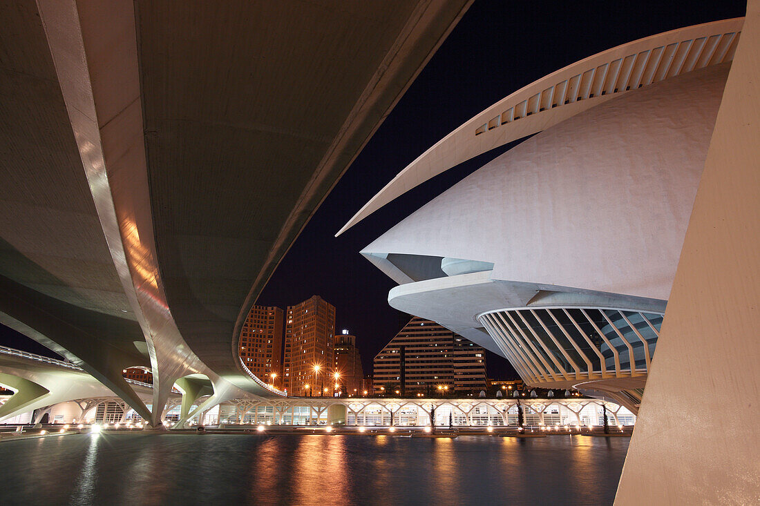 Palau de les Arts Reina Sofía, Architect Santiago Calatrava, Av Autopista del Saler, Pont de Pont de Montolivet, Valencia, Spain