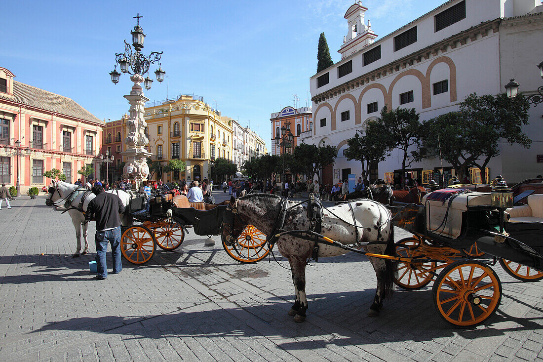 Pferdekutsche, Plaza del Triunfo, Sevilla, Andalusien, Spanien