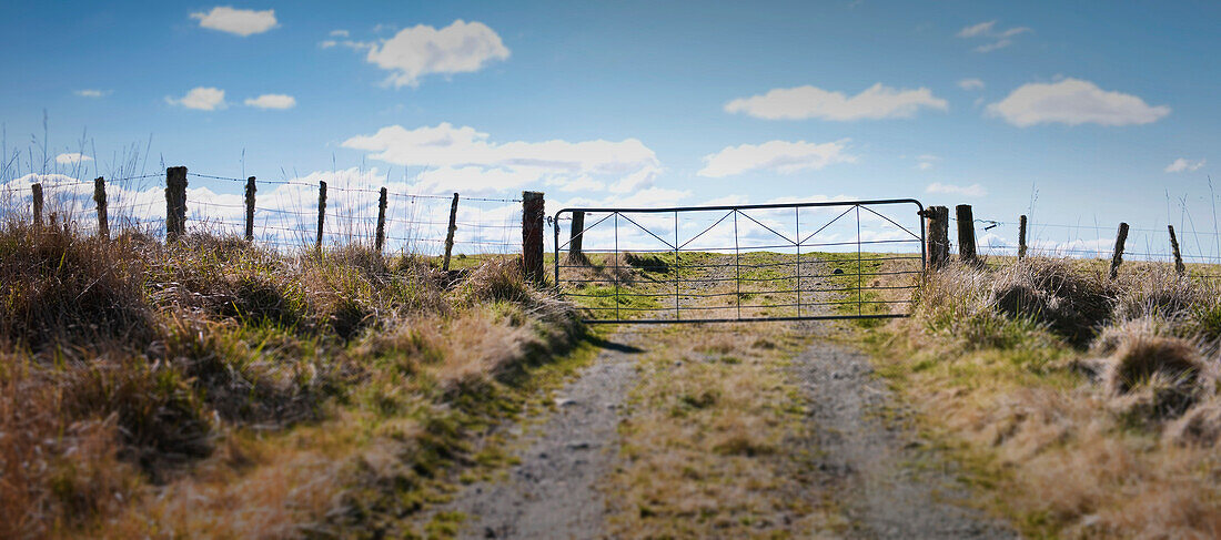 Closed Gate Blocking Field, New Plymouth, New Zealand