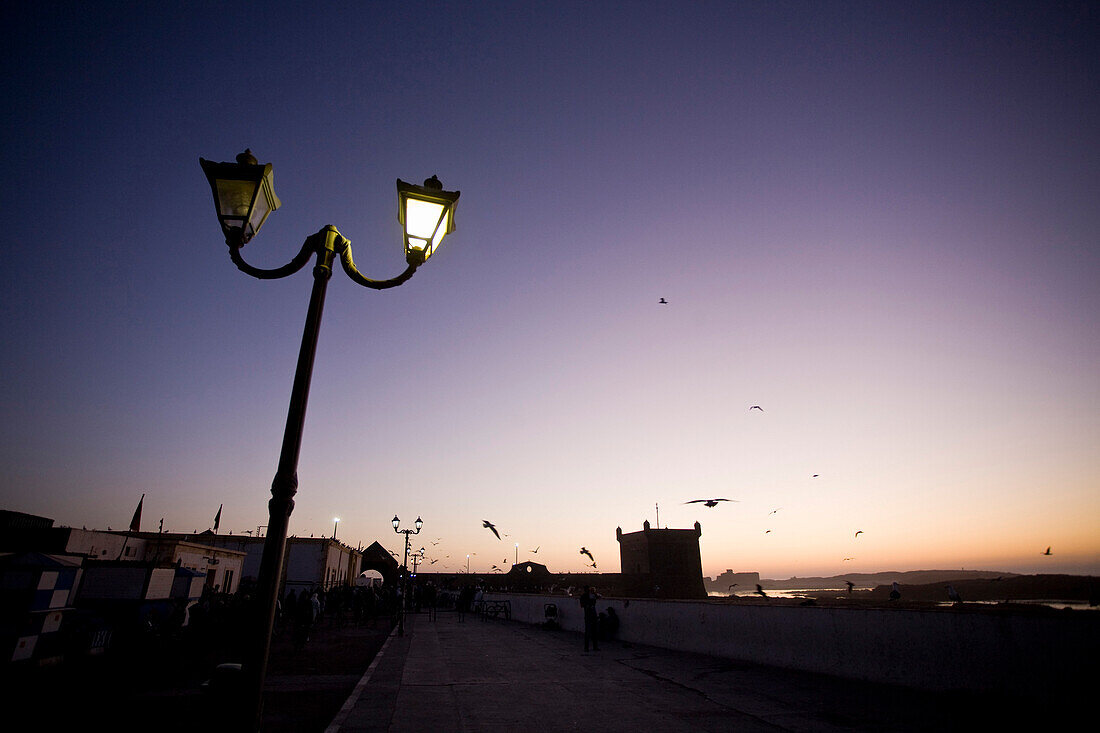 Morocco, Essaouira, view on the marina at dusk