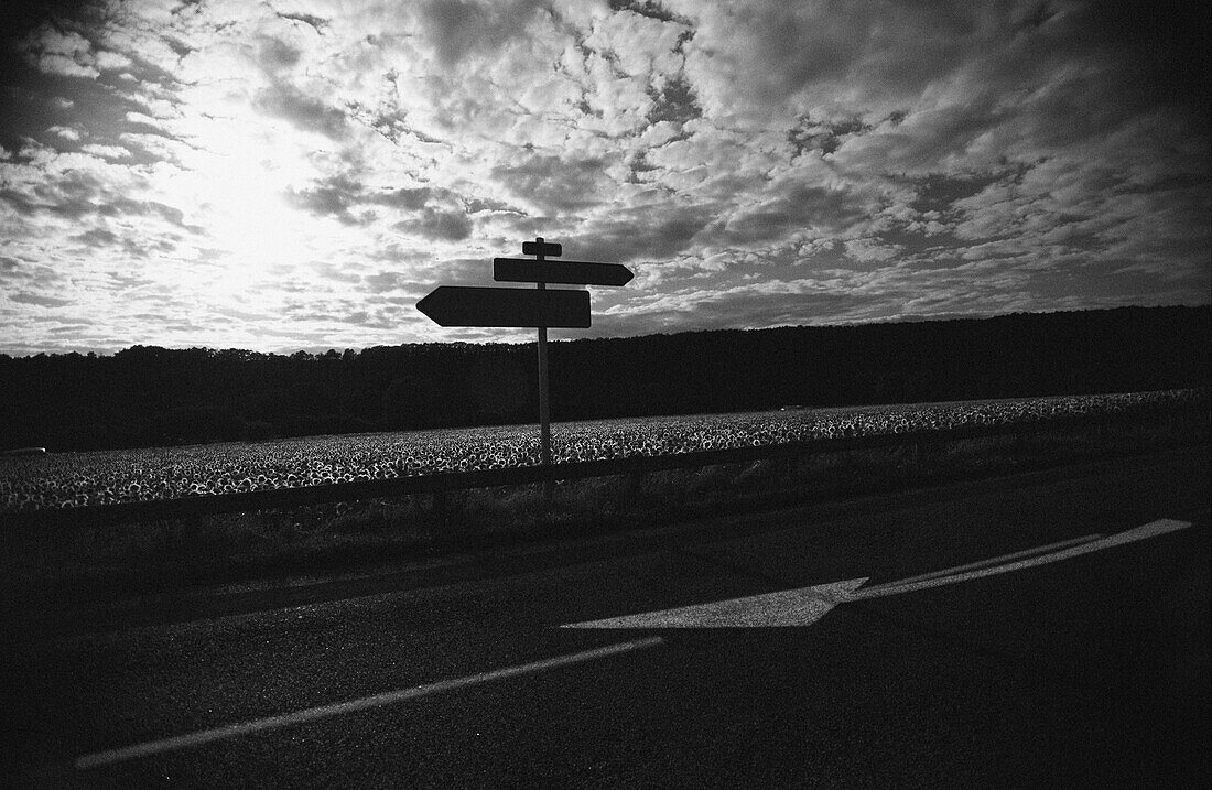 Sign post on road in front of sky with clouds, b&w