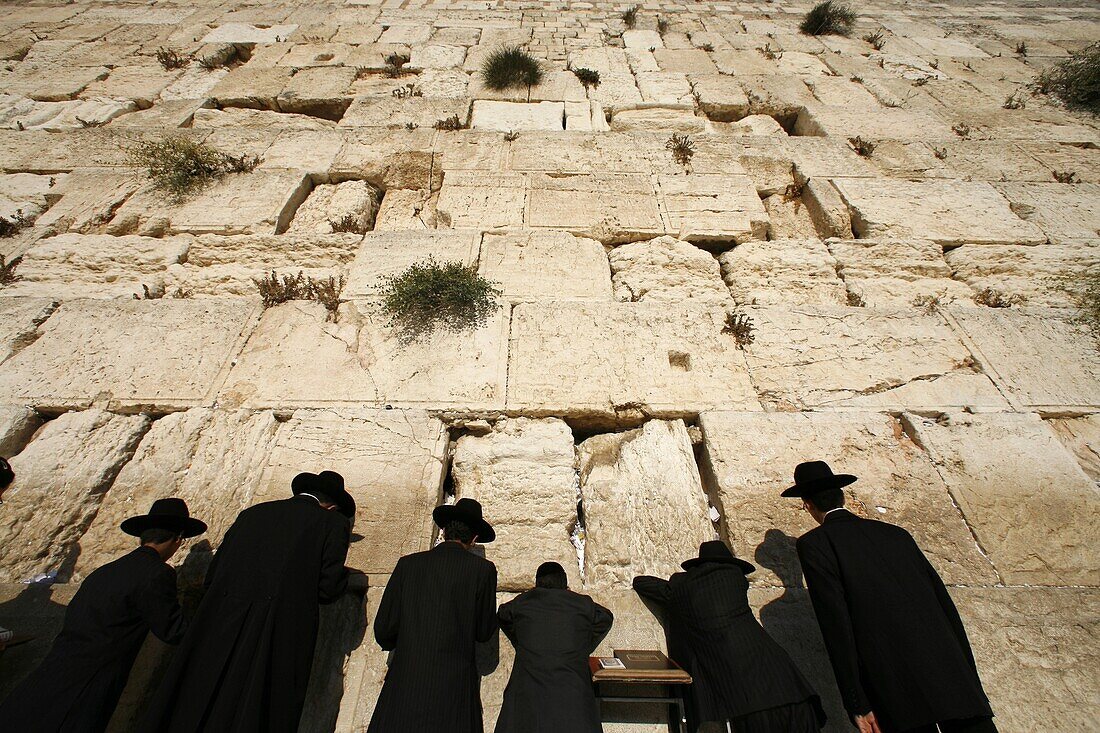 Israël, Jérusalem, Ultra-orthodox Jewish men pray at the Western Wall in the Old City of Jerusalem
