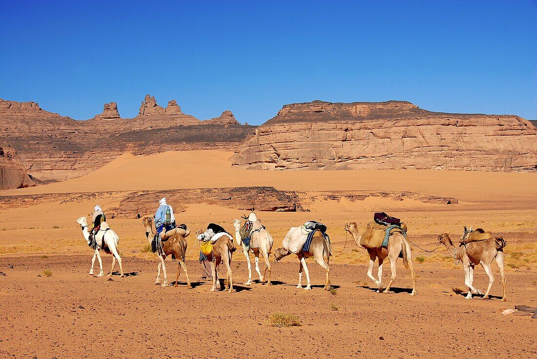 LIBYE, Tuareg caravan