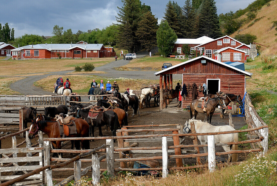 Chile, Patagonia, Torres del Paine national park, Los Cuernos ranch