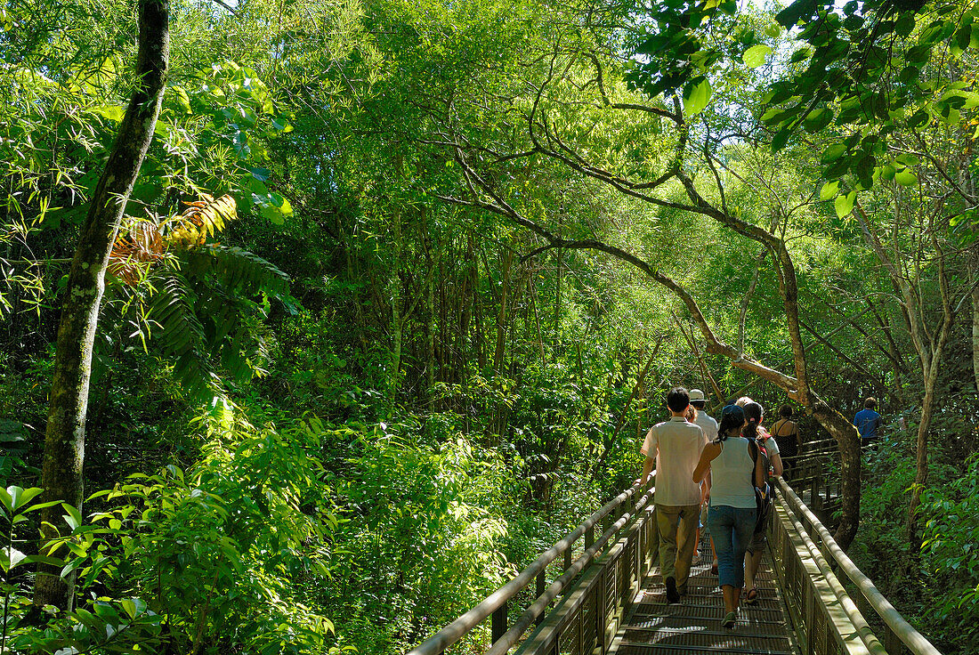 Argentina, tourists going to Iguazu falls