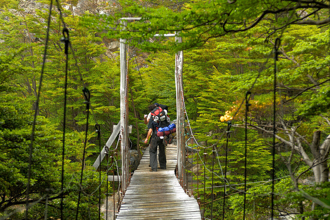 Chile, Patagonia, Torres del Paine National Park, trekker on wood bridge