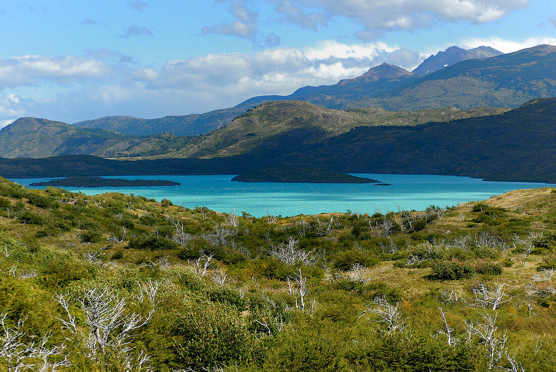 Chile, Patagonia, Torres del Paine National Park, lake Pehoe