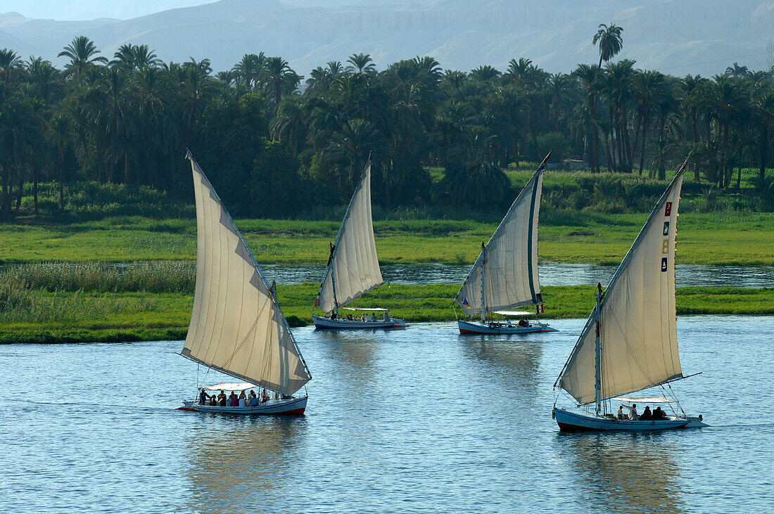 Egypt, Luxor, feluccas on river Nile