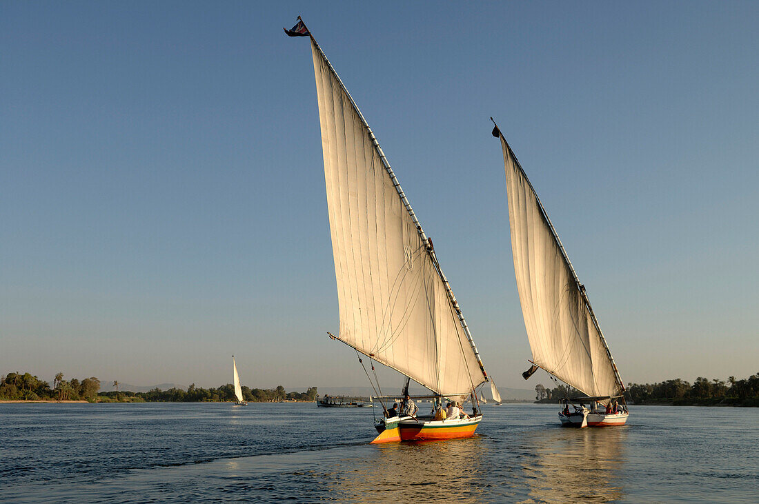 Egypt, Luxor, feluccas on river Nile