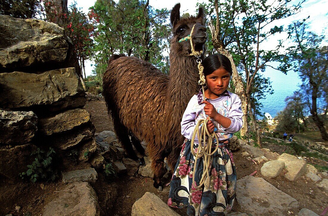 BOLIVIE, COPACABANA, Girl and llama