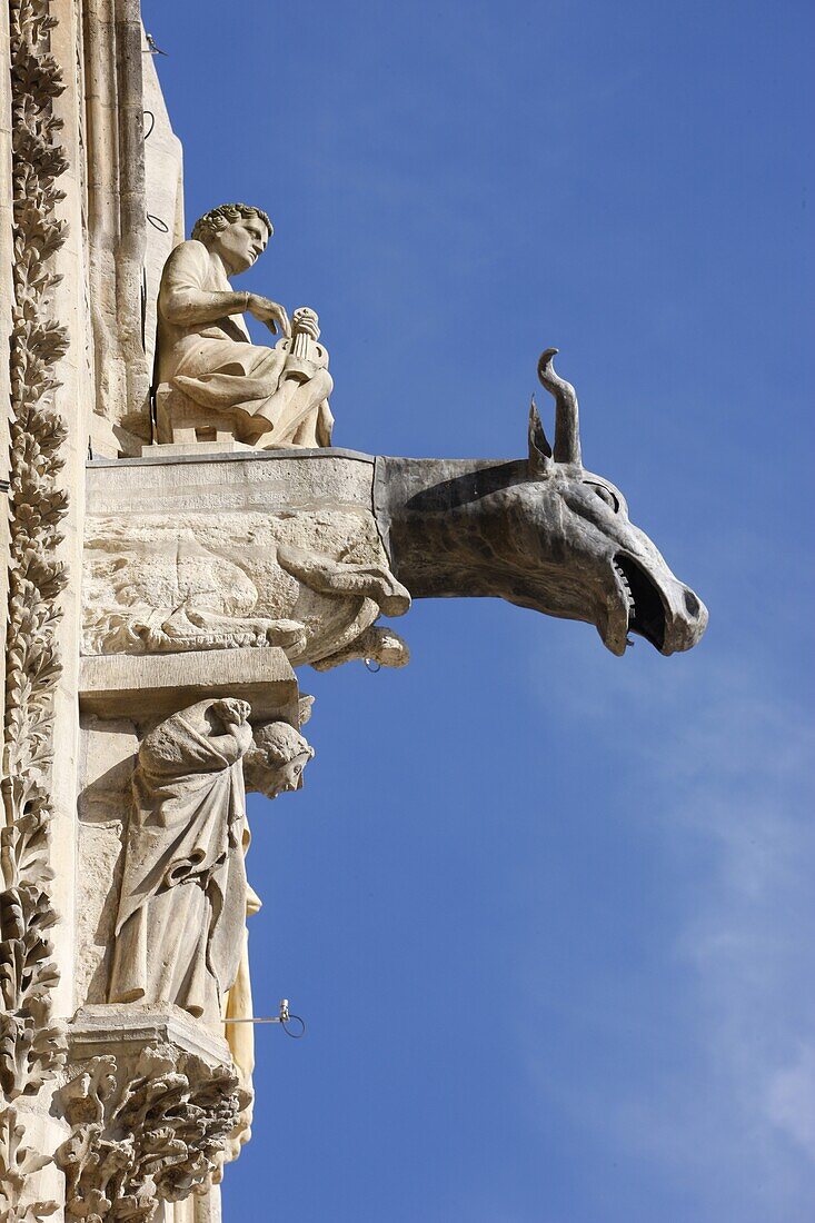 France, Reims, Reims cathedral gargoyle