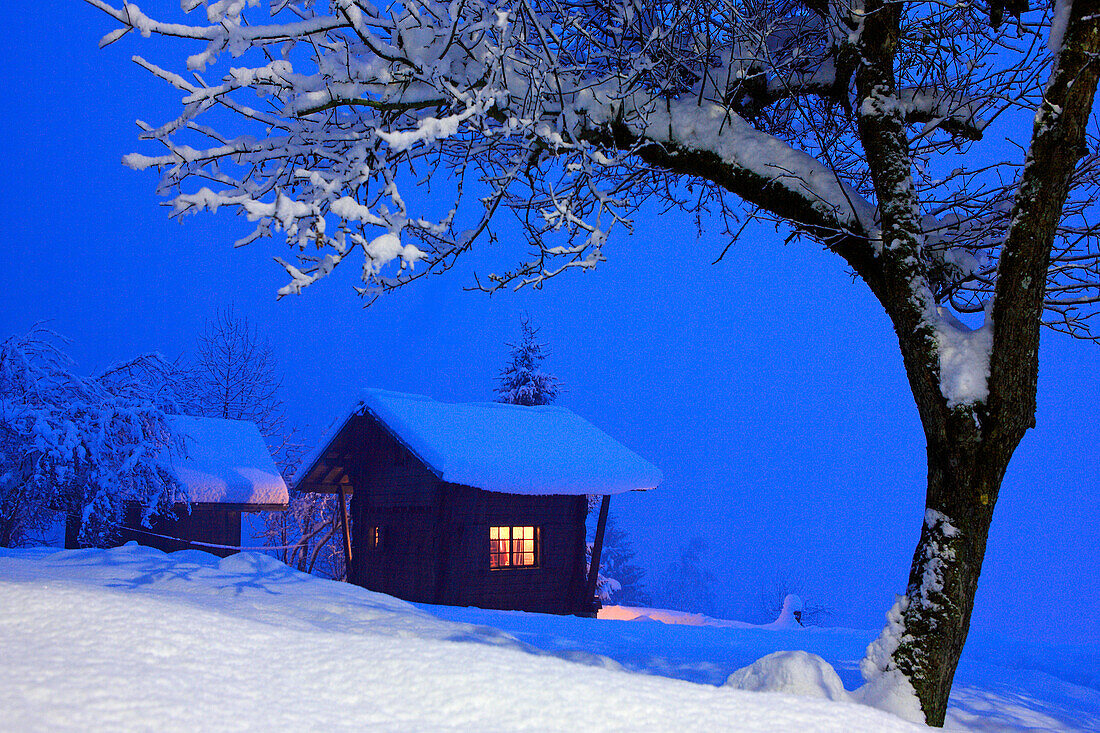 France, Rhone-Alpes, Alps, Haute Savoie, chalet in snowed landscape by night