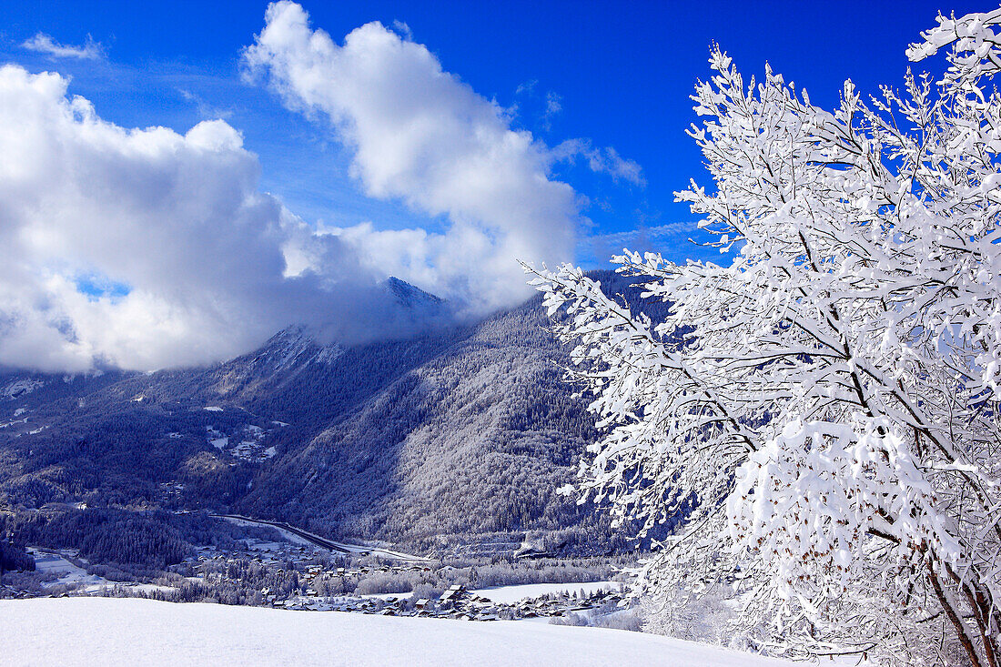 France, Rhone-Alpes, Alps, Haute Savoie, landscape in Chamonix valley in winter