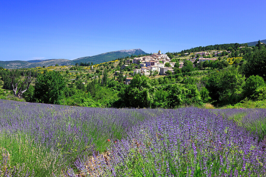 France, Provence, Vaucluse, Aurel, general view