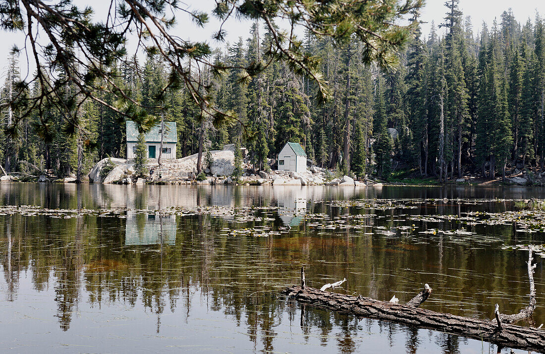 US, California, Yosemite park