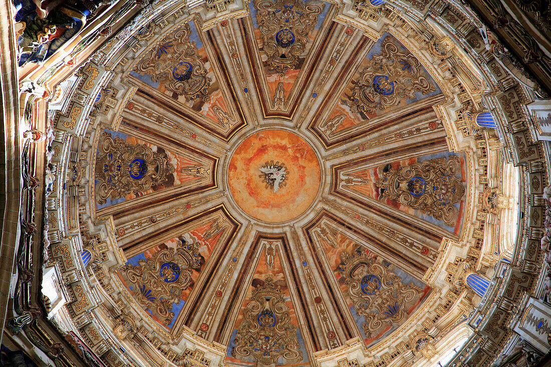 Spain, Castilla Leon, Salamanca, Cathedral, interior