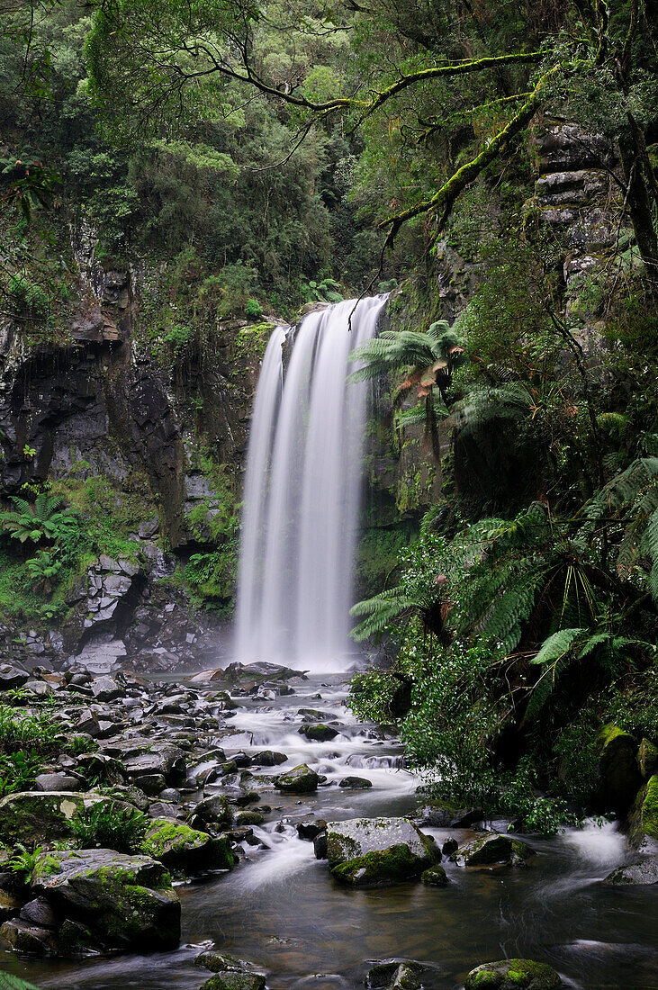 Hopetoun Falls on Aire River, Great Otway National Park, Victoria, Australia