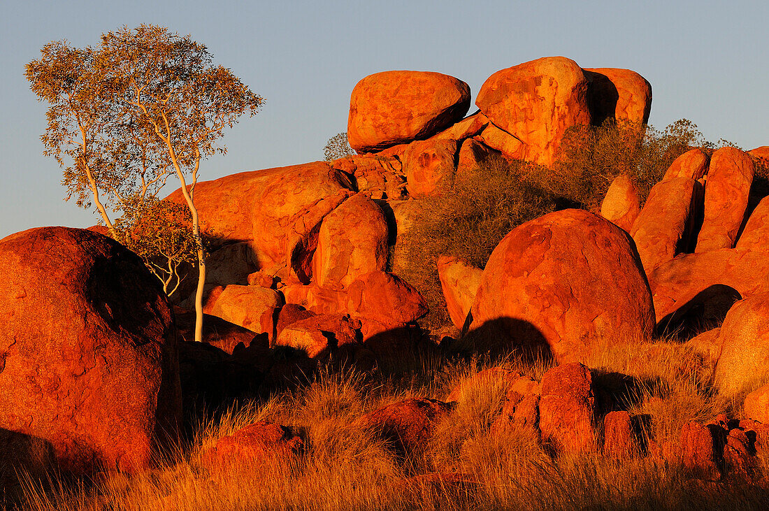 Granite boulders of Devils Marbles, Karlu Karlu Conservation Reserve,  Northern Territory, Australia