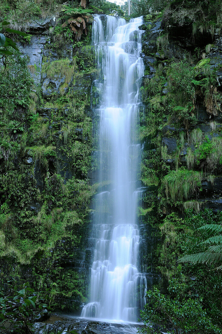 Erskine Falls falling from height of 30m, Great Otway National Park, Victoria, Australia