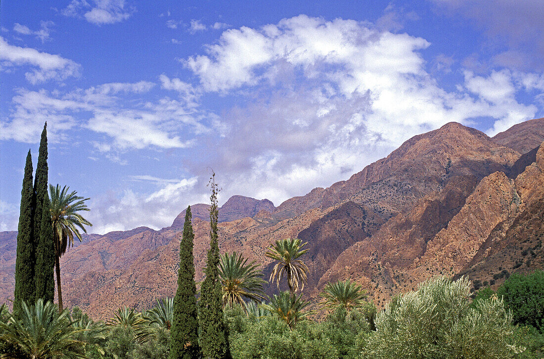 Morocco, Anti-Atlas, Trafraoute area, Ammeln valley