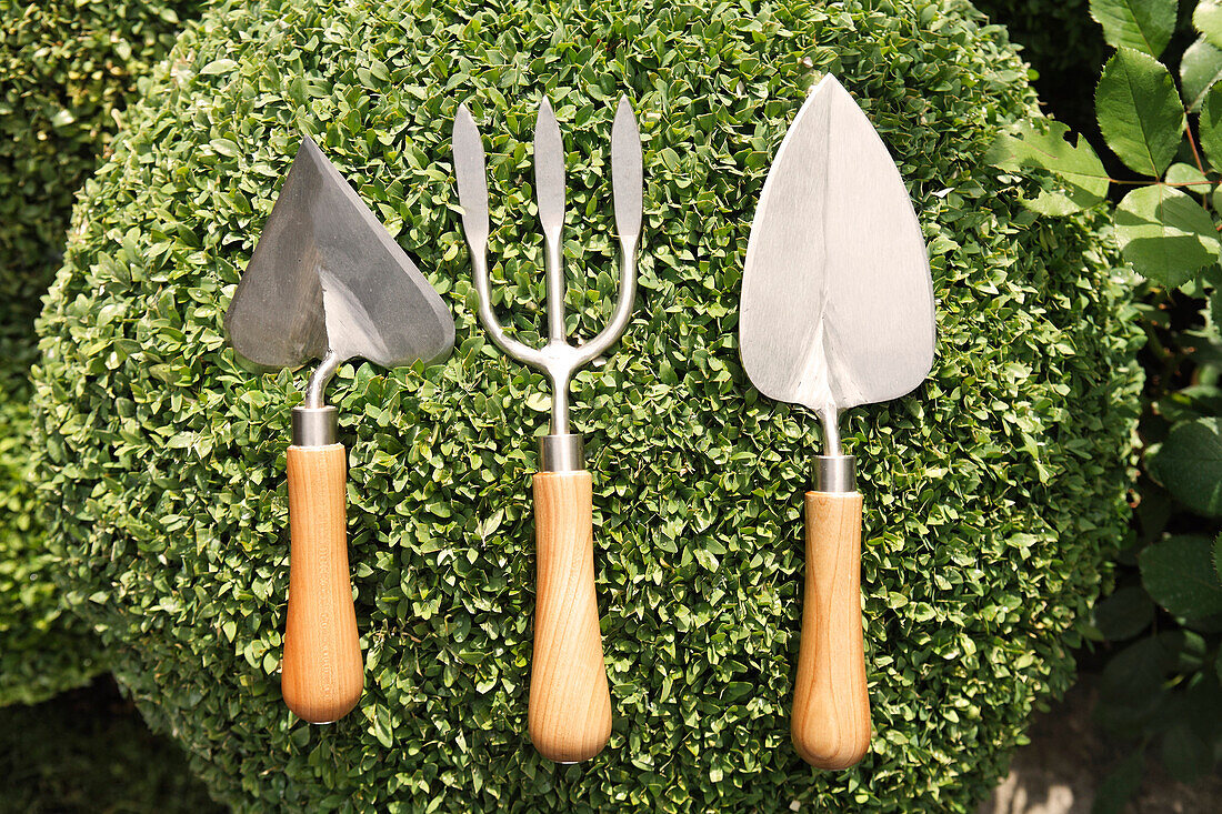 Garden tools on boxwood