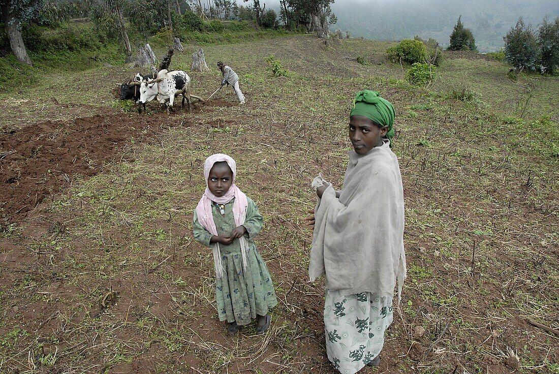 Ethiopie, Ankober, Ankober farmers