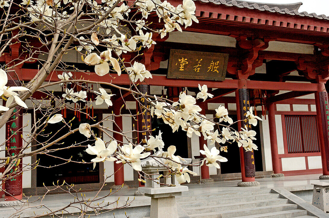 China, Shaanxi, Xian, Giant Wild Goose Pagoda