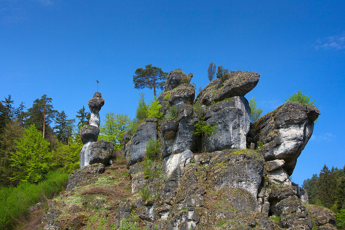 Kalksteinfelsen im Wiesenttal unter blauem Himmel, Fränkische Schweiz, Franken, Bayern, Deutschland, Europa
