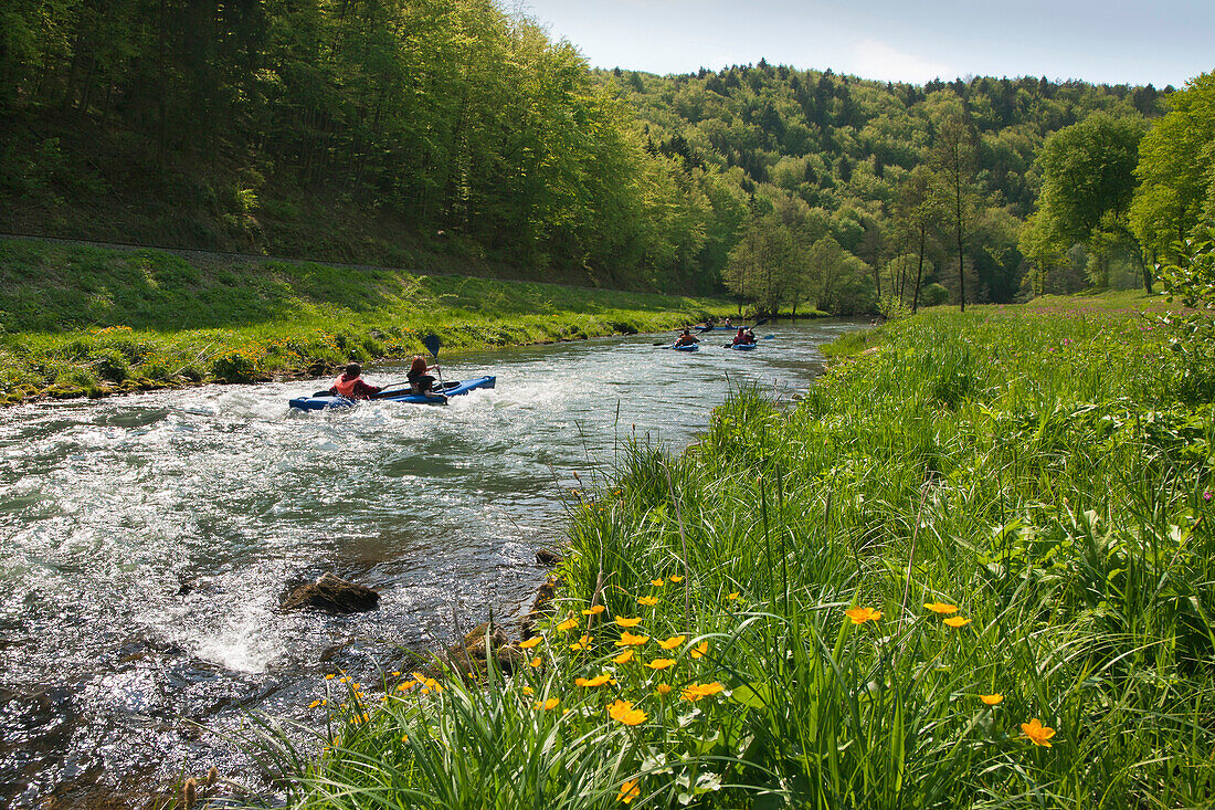 People canoeing at Wiesent valley, Fraenkische Schweiz, Franconia, Bavaria, Germany, Europe