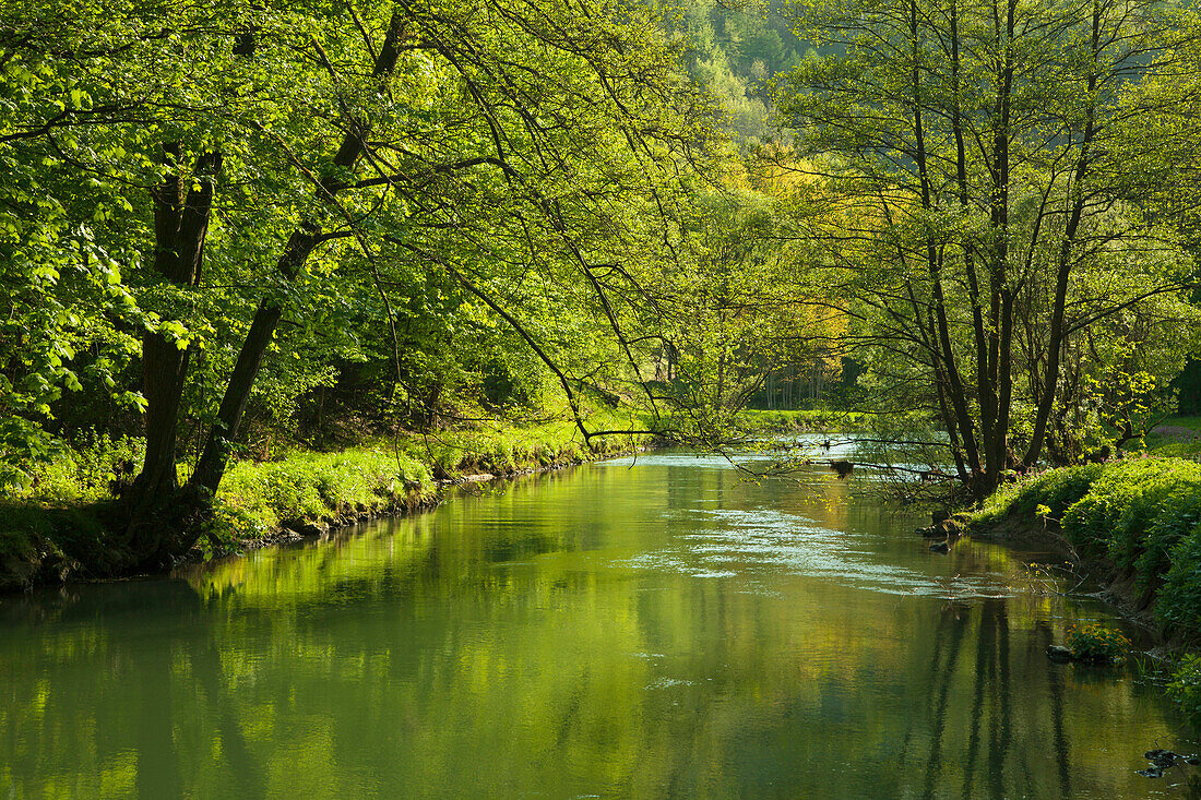 Fluss im Wiesenttal, Fränkische Schweiz, Franken, Bayern, Deutschland, Europa