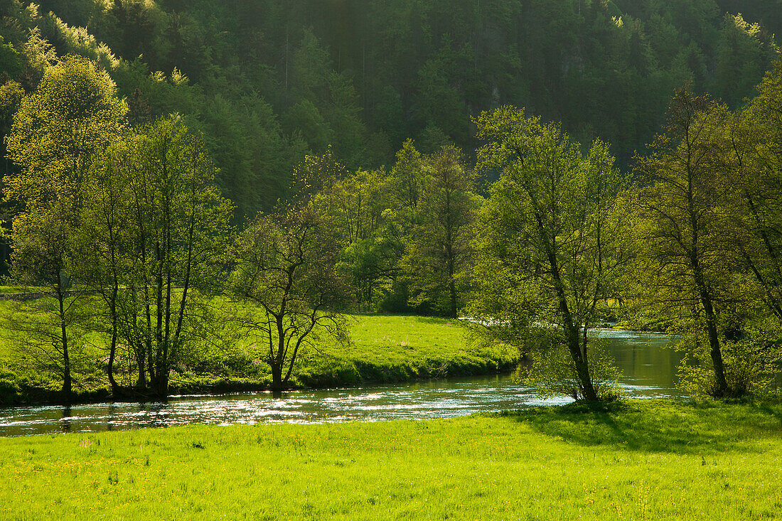 Fluss im Wiesenttal, Fränkische Schweiz, Franken, Bayern, Deutschland, Europa