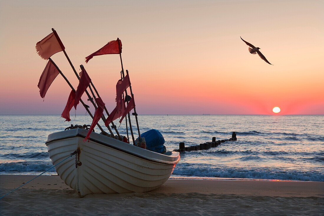 Fishing boat and seagull at sunrise, Bansin seaside resort, Usedom island, Baltic Sea, Mecklenburg-West Pomerania, Germany, Europe