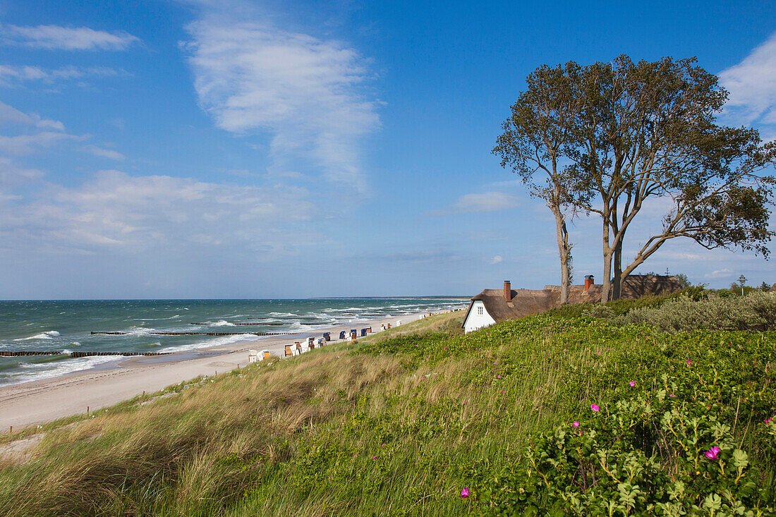 House with thatched roof at the beach, Ahrenshoop, Fischland Darss Zingst, Baltic Sea, Mecklenburg-West Pomerania, Germany, Europe